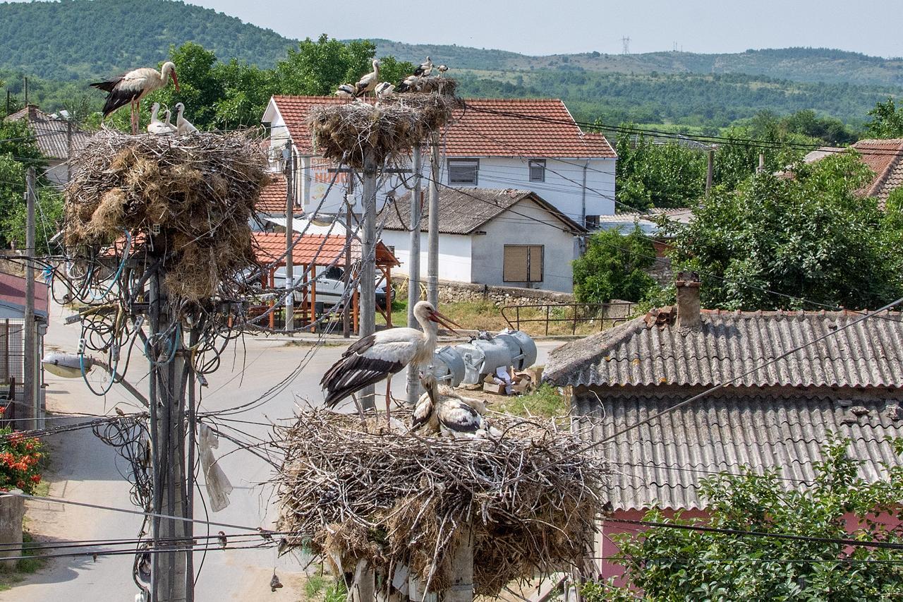 Bed & Breakfast Delikates Stojakovo Exterior foto